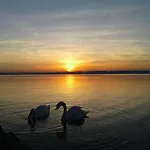 Balaton Wellness Daire Siofok