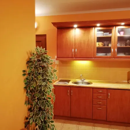 Daire Balaton Wellness