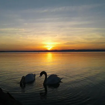 Balaton Wellness Daire Siofok